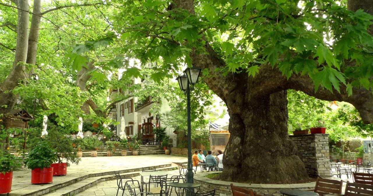 The Lotus Tree Archontiko & Pelion Activity Lodge Exterior foto