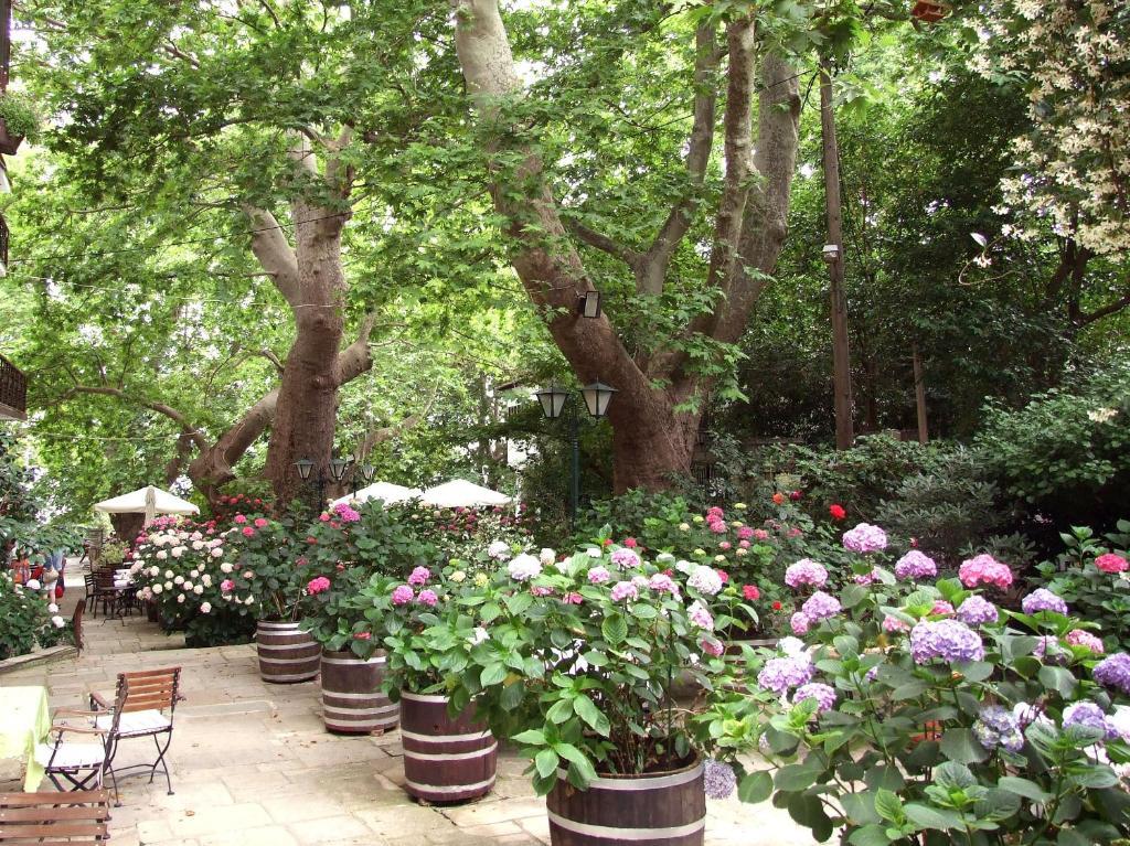 The Lotus Tree Archontiko & Pelion Activity Lodge Exterior foto