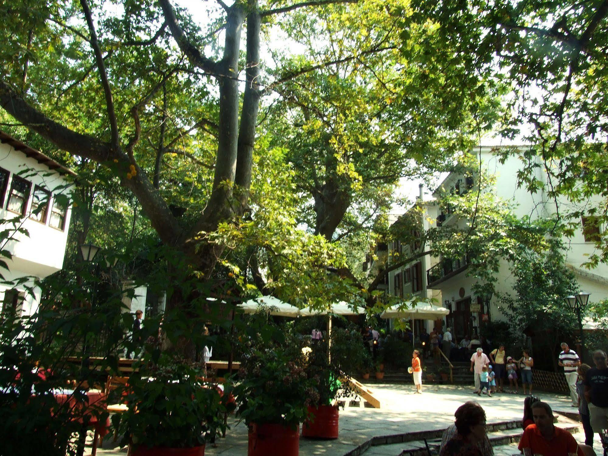 The Lotus Tree Archontiko & Pelion Activity Lodge Exterior foto